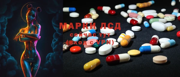 ГАЛЛЮЦИНОГЕННЫЕ ГРИБЫ Карпинск