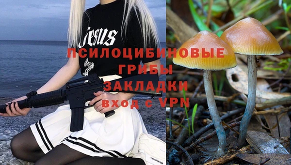 сатива Карталы