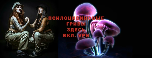 сатива Карталы