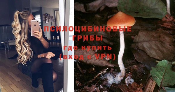 ГАЛЛЮЦИНОГЕННЫЕ ГРИБЫ Карпинск