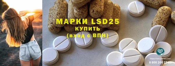 ГАЛЛЮЦИНОГЕННЫЕ ГРИБЫ Карпинск