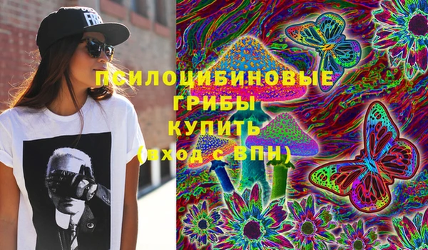 ГАЛЛЮЦИНОГЕННЫЕ ГРИБЫ Карпинск