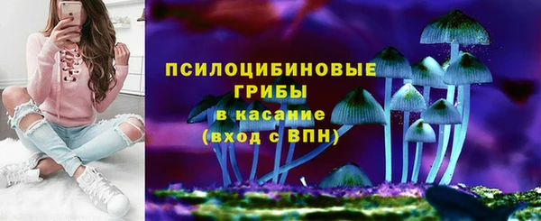 сатива Карталы
